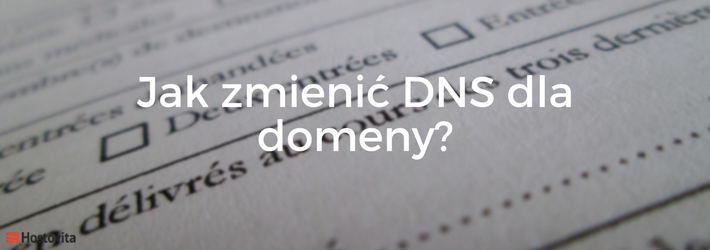 zmiana dns domeny