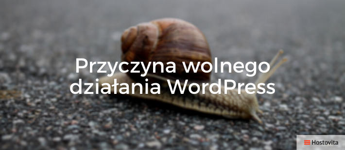 czemu-wordpress-dziala-wolno